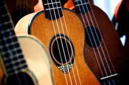 Edistyneiden ukuleleryhmä – Tapiolan kirjasto, Espoo