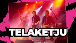 Telaketju