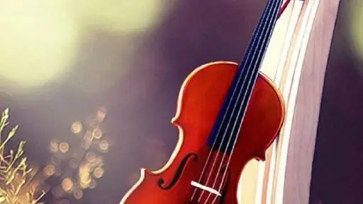 Oulun konservatorio: Viulujen syyssoitto (Tulindbergin sali) – Oulun Musiikkikeskus, Oulu