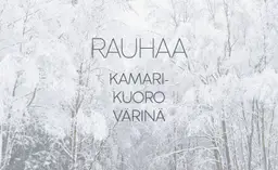 Kamarikuoro Värinä: Joulukonsertti Rauhaa – Helsinki, Helsinki