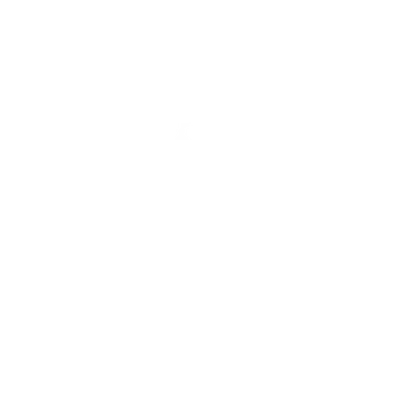 Hämeenlinnan raatihuone logo