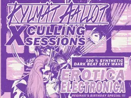Kylmät Aallot x Culling Sessions: EROTICA ELECTRONICA – Lepakkomies, Helsinki