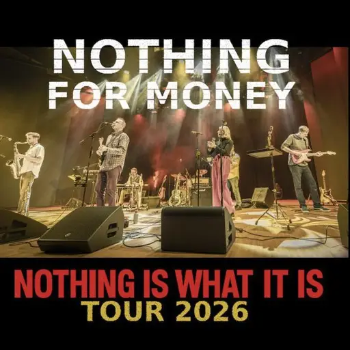 Nothing for Money plays Dire Straits – Kangasala-Talo, Kangasala
