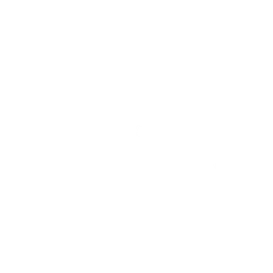 Ravintolalaiva Papa Joe Turku logo