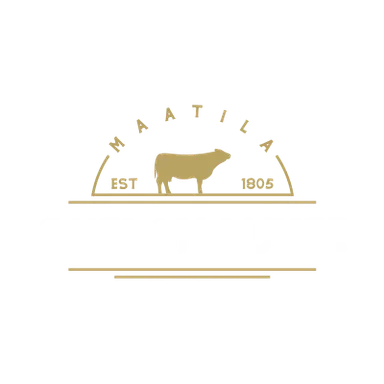 Ohelanaukee Jyväskylä logo