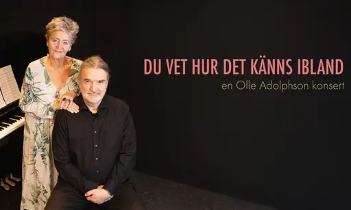 Johanna Ringbom & Iiro Salmi: Du vet hur det känns ibland – Svenska veckan | Tiistaimatinea – Vuotalo, Helsinki