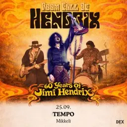 Room Full Of Hendrix