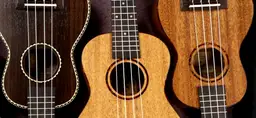 Ukulele 7-12-vuotiaiden ryhmätunti – Sellon kirjasto, Espoo