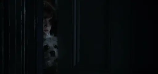 The Babadook – Taiteen talo, Turku