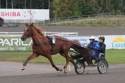 Tandem -ajelu 19.10.2026 – Keski-Suomen Ravirata Oy, Jyväskylä